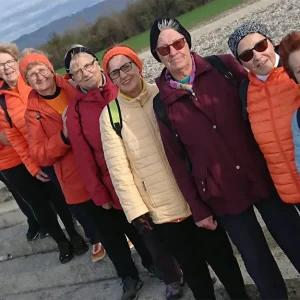 Skupina Brežice, druženje, članek Depresija