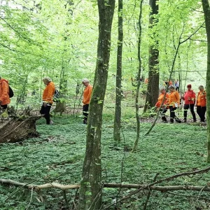 Skupine Brežice, hoja v naravi