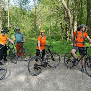 Skupine na Debelem Rtiču, članek Depresija