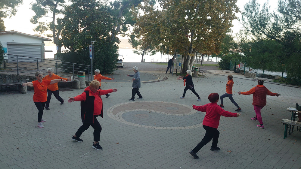 Viške čaplje na Debelem Rtiču