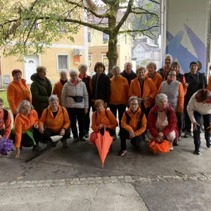 Prvo leto skupine Idrje!