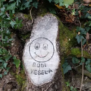 Gremo na morje