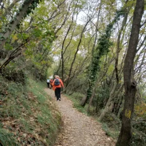 Gremo na morje