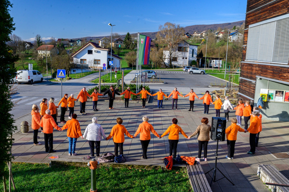 10 let 13. podružnice DŠZ – SEMIČ