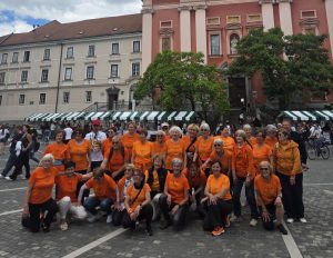 Društvo Šola zdravja na Veselem dnevu prostovoljstva v Ljubljani